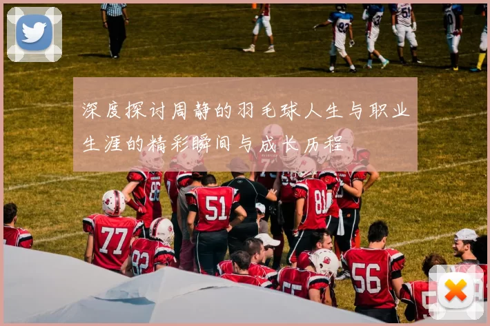 深度探讨周静的羽毛球人生与职业生涯的精彩瞬间与成长历程