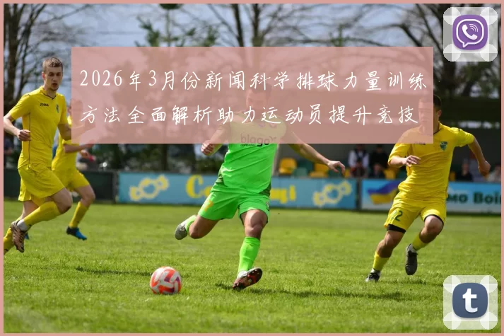2026年3月份新闻科学排球力量训练方法全面解析助力运动员提升竞技水平